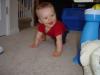 This scurrying sure is fun
